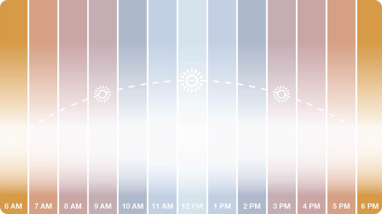The Circadian Secret To Workplace Design