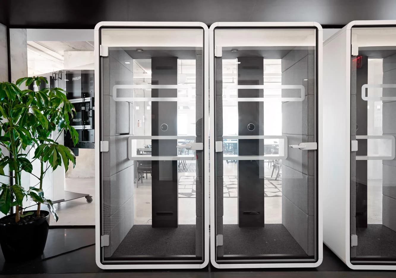 Primalbase, New York